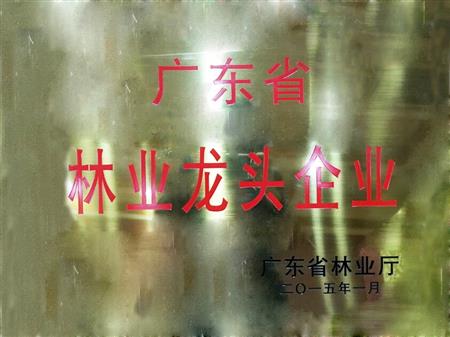    	         	2015年1月，紅古軒當選為“廣東省林業(yè)龍頭企業(yè)”   